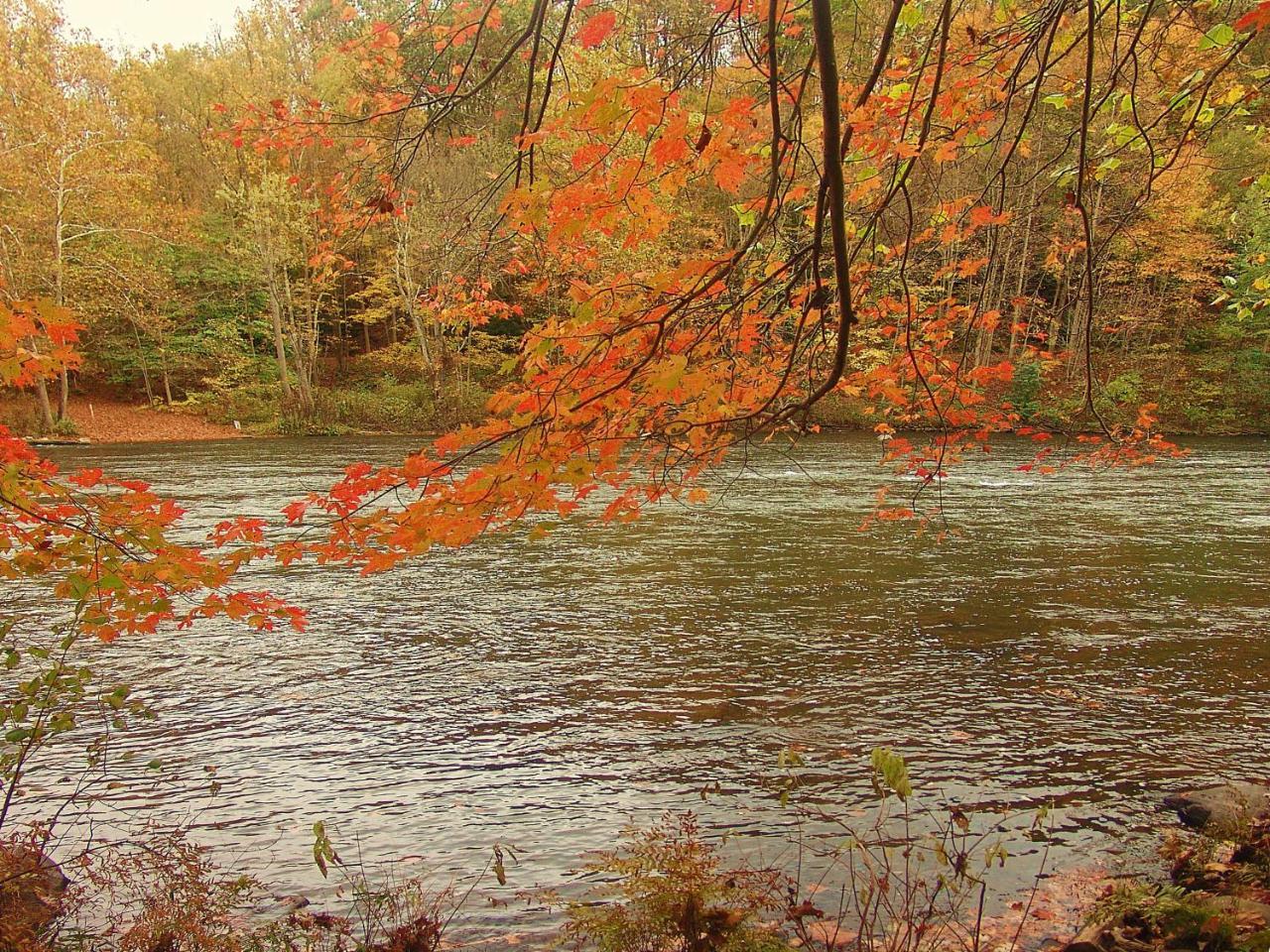 Willa Paddler'S Lane Retreat Confluence Zewnętrze zdjęcie