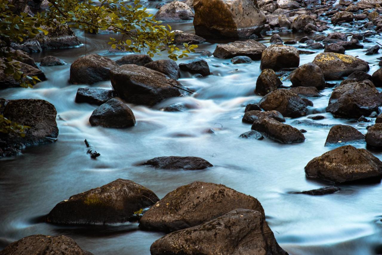 Willa Paddler'S Lane Retreat Confluence Zewnętrze zdjęcie